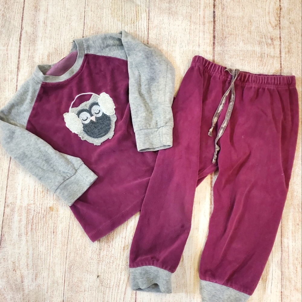 Kidichic velour purple owl pajamas sz 3